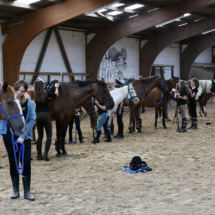 2018SportwocheReitenHalle