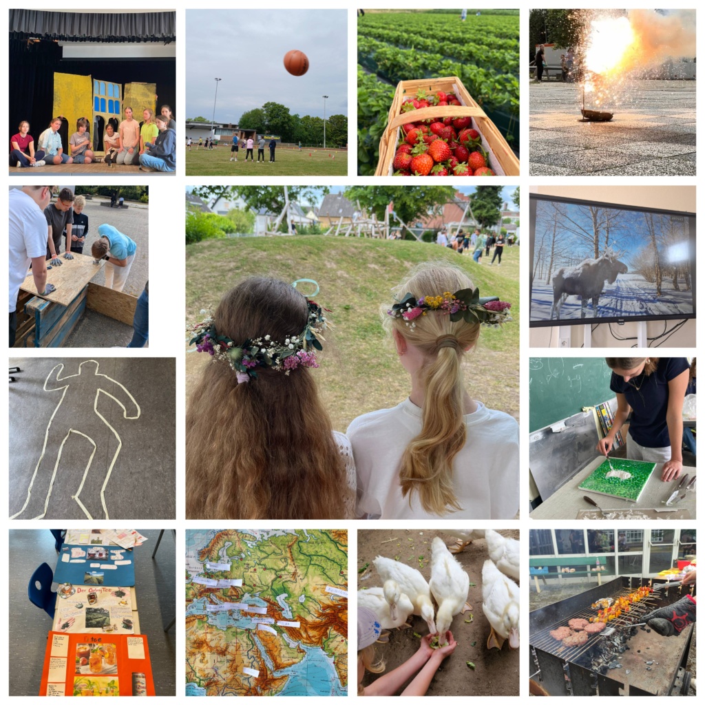 Collage 13 Fotos zeigen verschiedene Projekte aus 2025