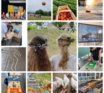 Collage 13 Fotos zeigen verschiedene Projekte aus 2025
