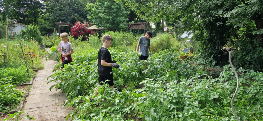 Öko4 Drei Schüler arbeiten im Garten.